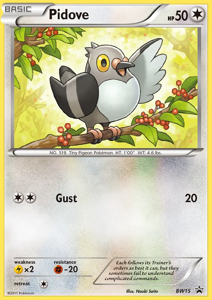 Pidove Common rarity BW Black Star Promos Pokémon card price