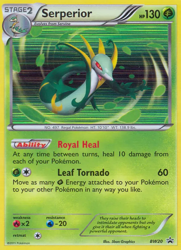 Serperior Rare rarity BW Black Star Promos Pokémon card price